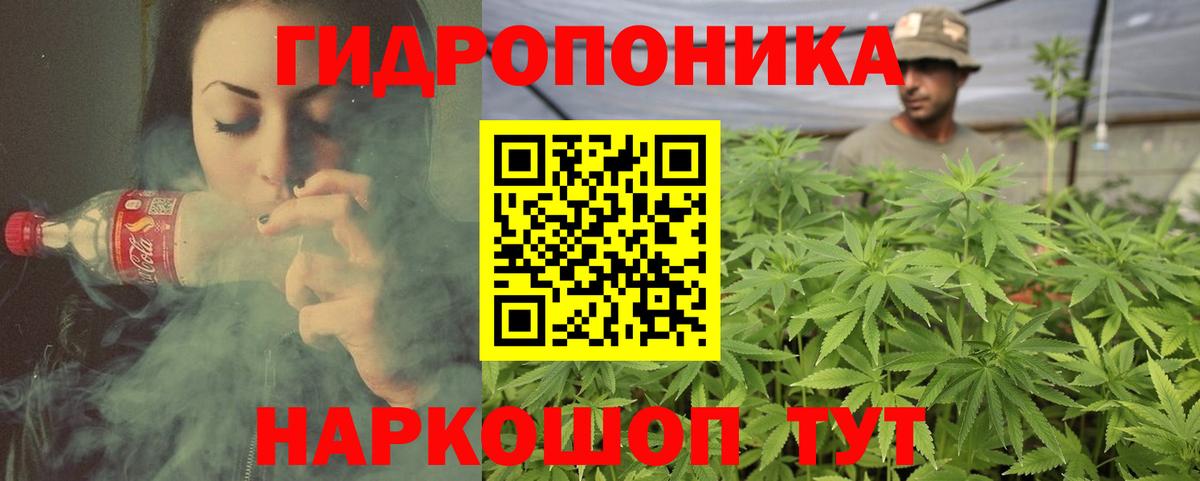 Канабис семена Дербент