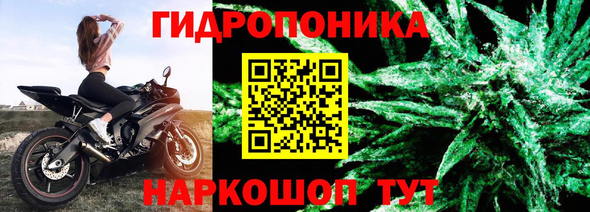 Дербент  Бошки Шишки индика  Каннабис AK-47  Вход с VPN 